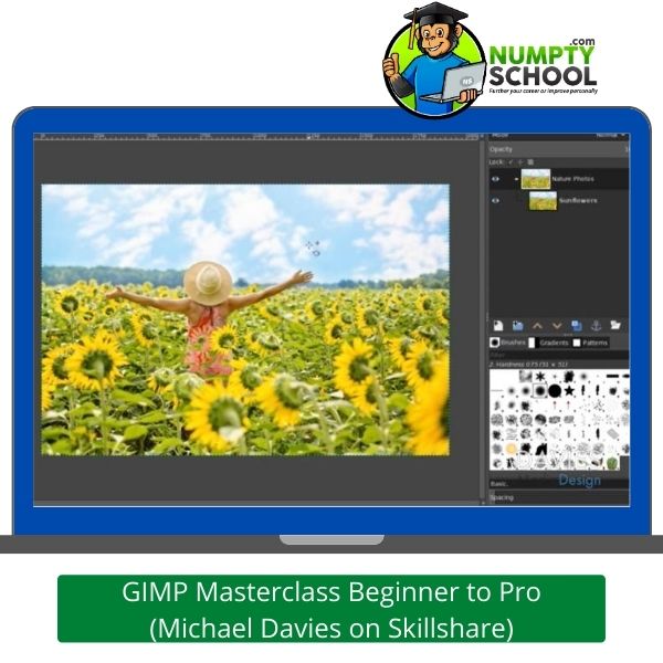 GIMP Masterclass Beginner to Pro - Michael Davies