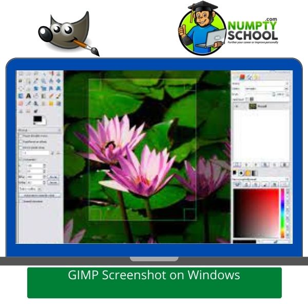 GIMP Screenshot on Windows