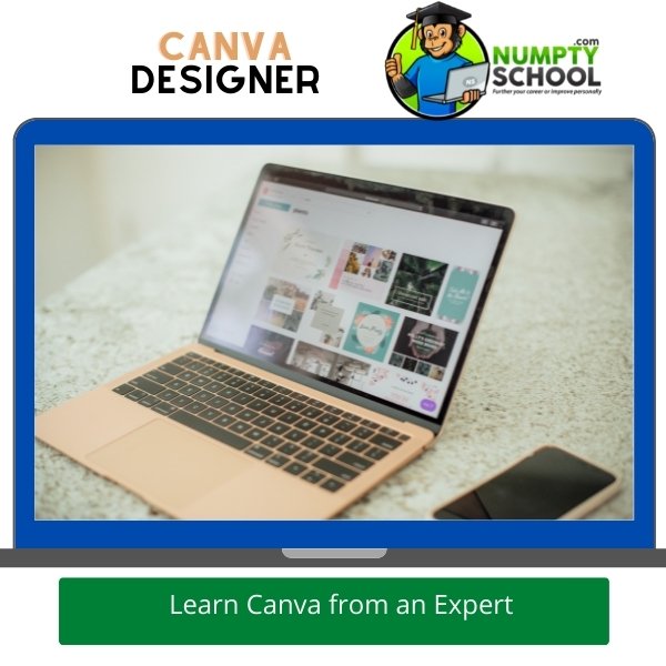 Learn Canva from an Expert