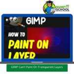 GIMP Can't Paint On Transparent Layers