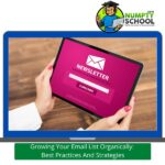 Growing Your Email List Organically Best Practices And Strategies