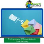 The Importance Of Segmentation In Email Marketing
